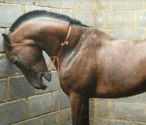 Screen Shot 2015-12-16 at 4.25.41 PM